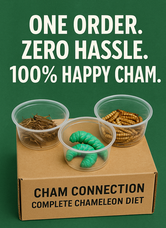 Cham Connection Complete Chameleon Diet™